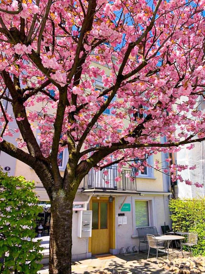 Citylodge St Gallen - 2 Min To Marktplatz St. Gallen Bagian luar foto