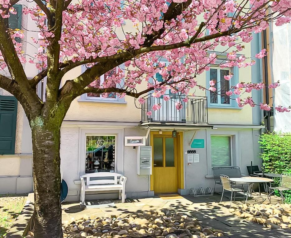 Citylodge St Gallen - 2 Min To Marktplatz St. Gallen Bagian luar foto